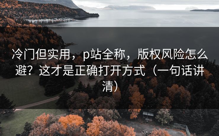 冷门但实用，p站全称，版权风险怎么避？这才是正确打开方式（一句话讲清）