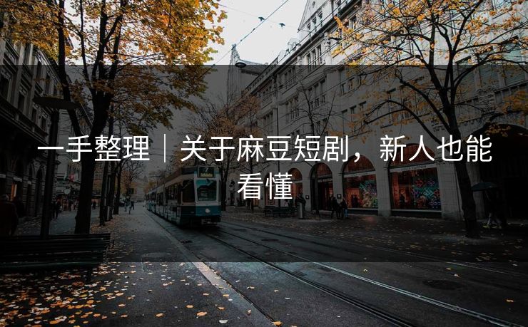 一手整理|关于麻豆短剧,新人也能看懂 一手整理|关于麻豆短剧,新人也能看懂