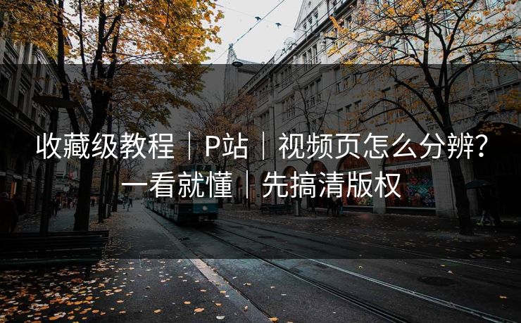收藏级教程｜P站｜视频页怎么分辨？一看就懂｜先搞清版权