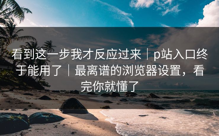 看到这一步我才反应过来｜p站入口终于能用了｜最离谱的浏览器设置，看完你就懂了