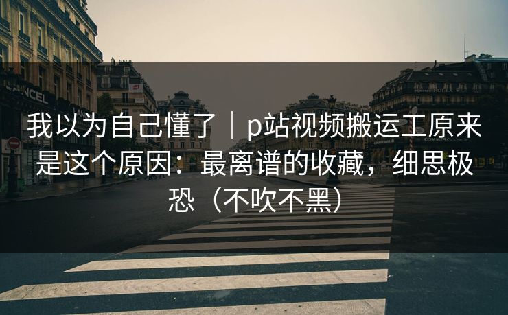 我以为自己懂了｜p站视频搬运工原来是这个原因：最离谱的收藏，细思极恐（不吹不黑）