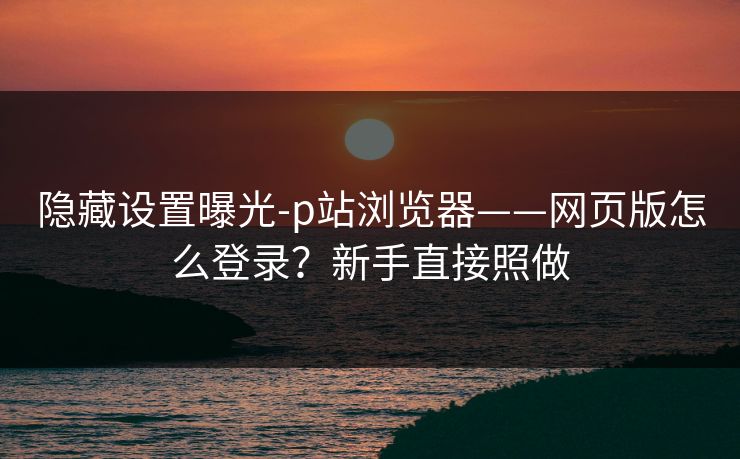 隐藏设置曝光-p站浏览器——网页版怎么登录？新手直接照做