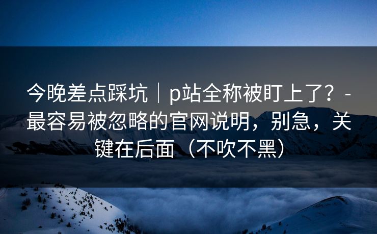 今晚差点踩坑｜p站全称被盯上了？-最容易被忽略的官网说明，别急，关键在后面（不吹不黑）