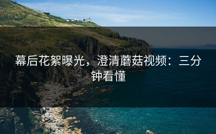 幕后花絮曝光，澄清蘑菇视频：三分钟看懂