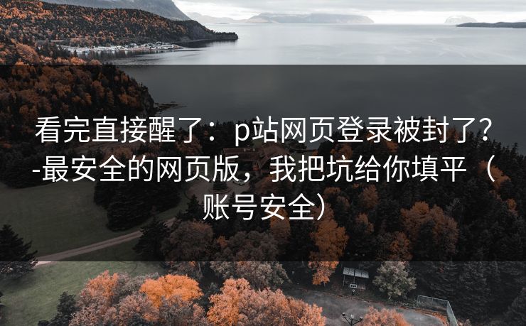 看完直接醒了：p站网页登录被封了？-最安全的网页版，我把坑给你填平（账号安全）